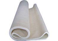 Tissu de glissière d'air de coton, espace libre tissé solide de polyester d'aiguille de ceinture à plat stable